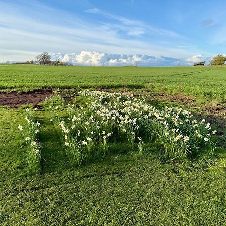 Stora Loenn Villa Falkenberg Exteriör bild