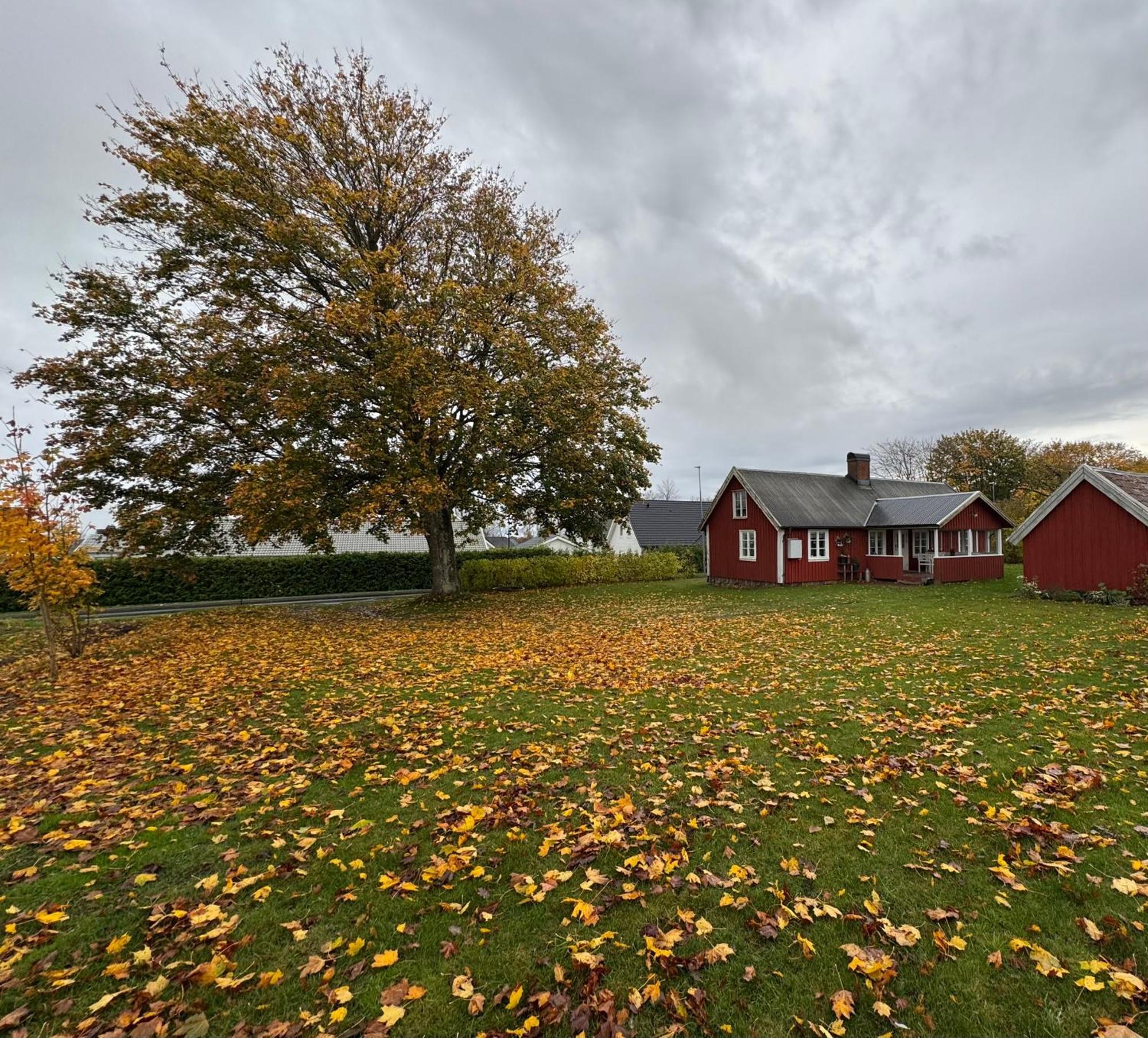 Stora Loenn Villa Falkenberg Exteriör bild