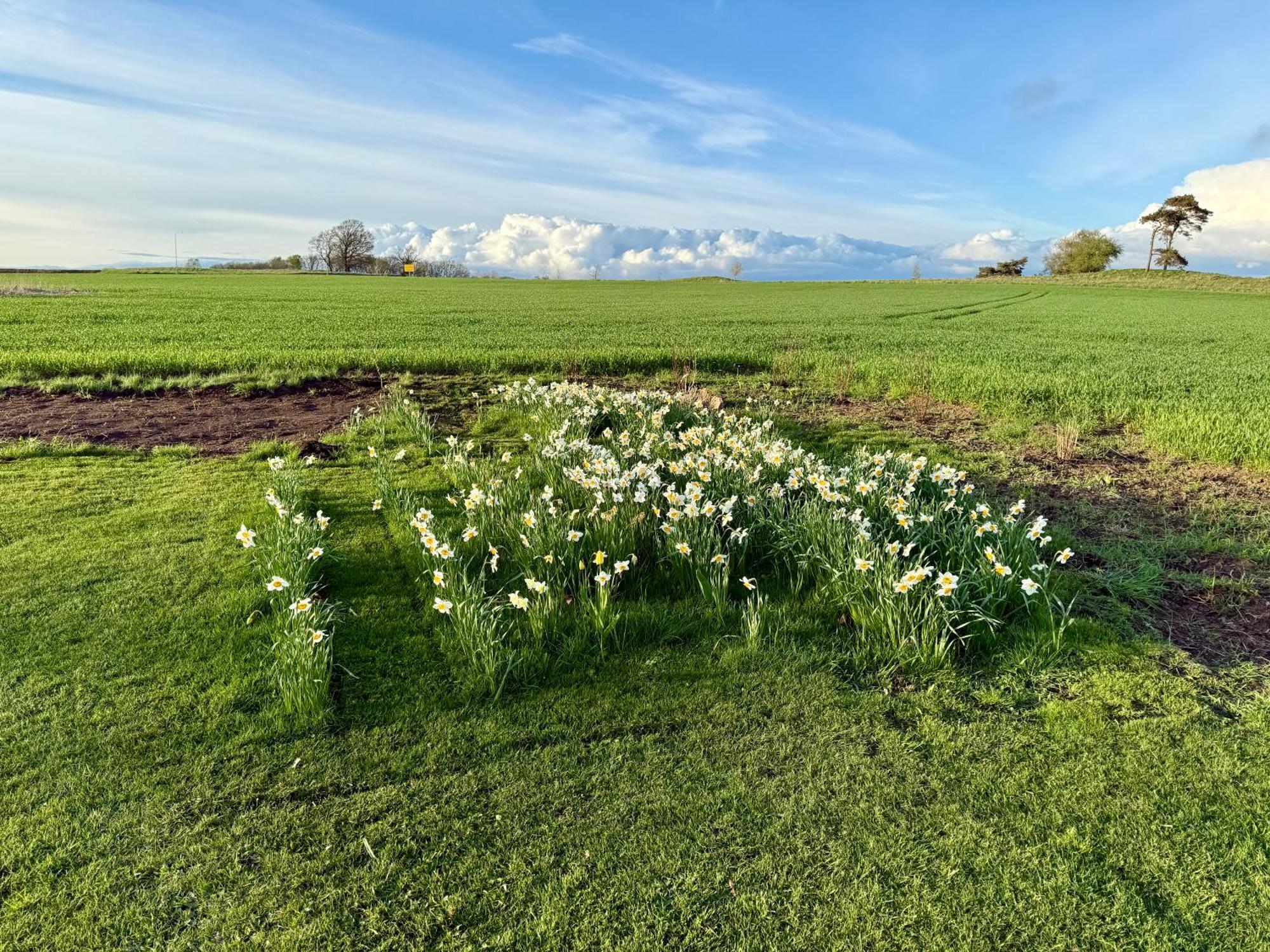 Stora Loenn Villa Falkenberg Exteriör bild